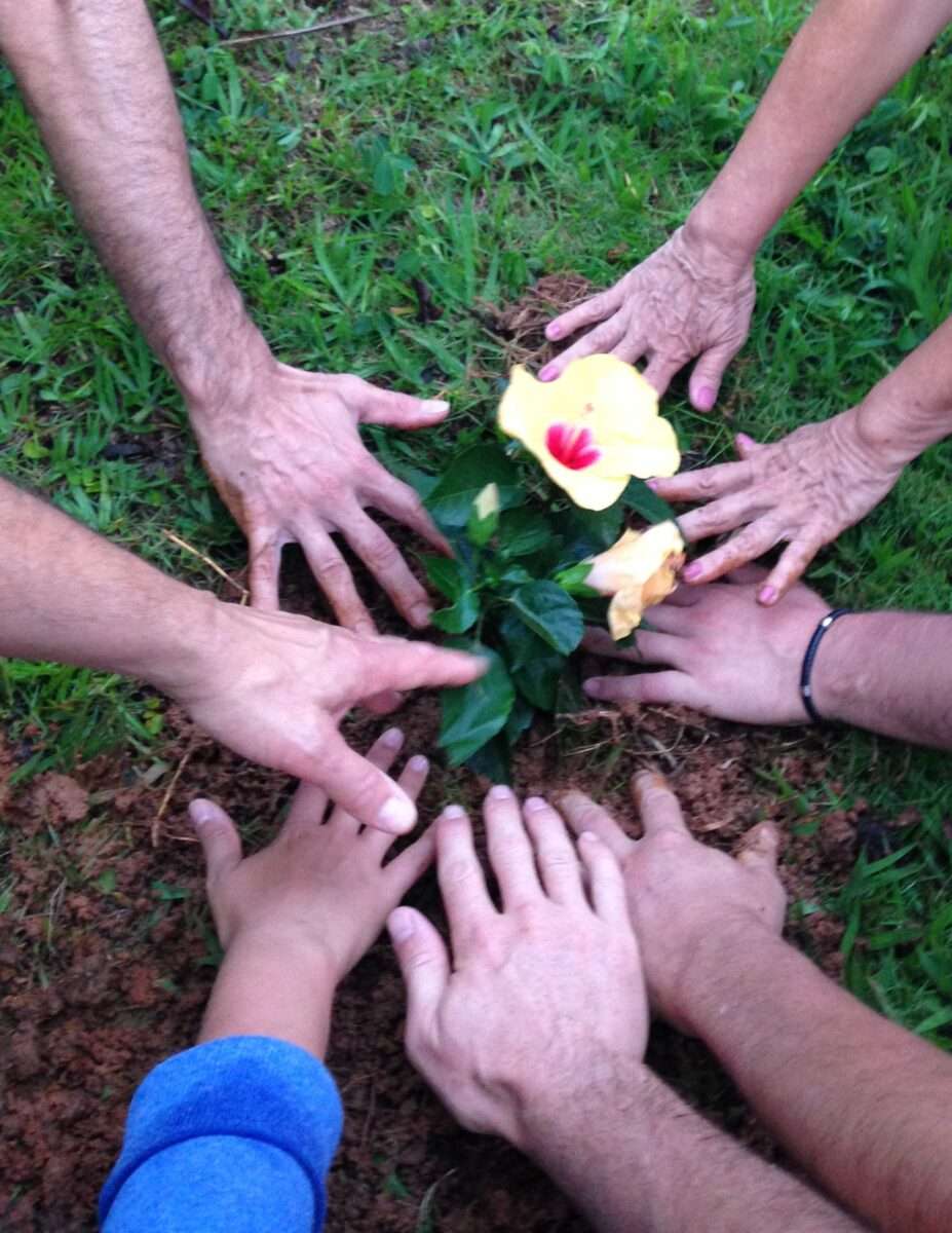 Plusieurs mains sales de terre entourant une jeune plante avec une fleur jaune, symbolisant le travail d'équipe et la croissance.